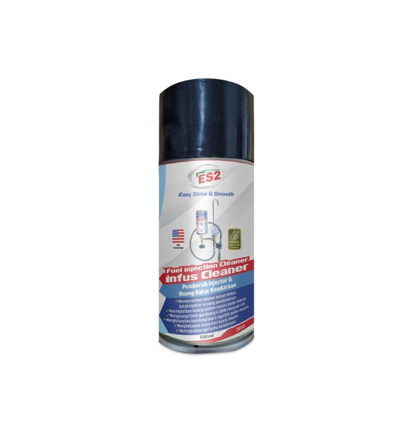 ES2 FUEL INJECTOR CLEANER INFUS CLEANER - 2050, 2023, 2025